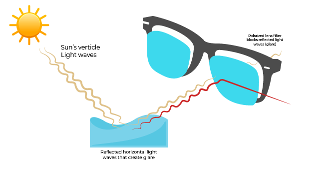 Hur polariserade linser fungerar