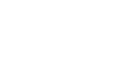 Lynx Varumärke